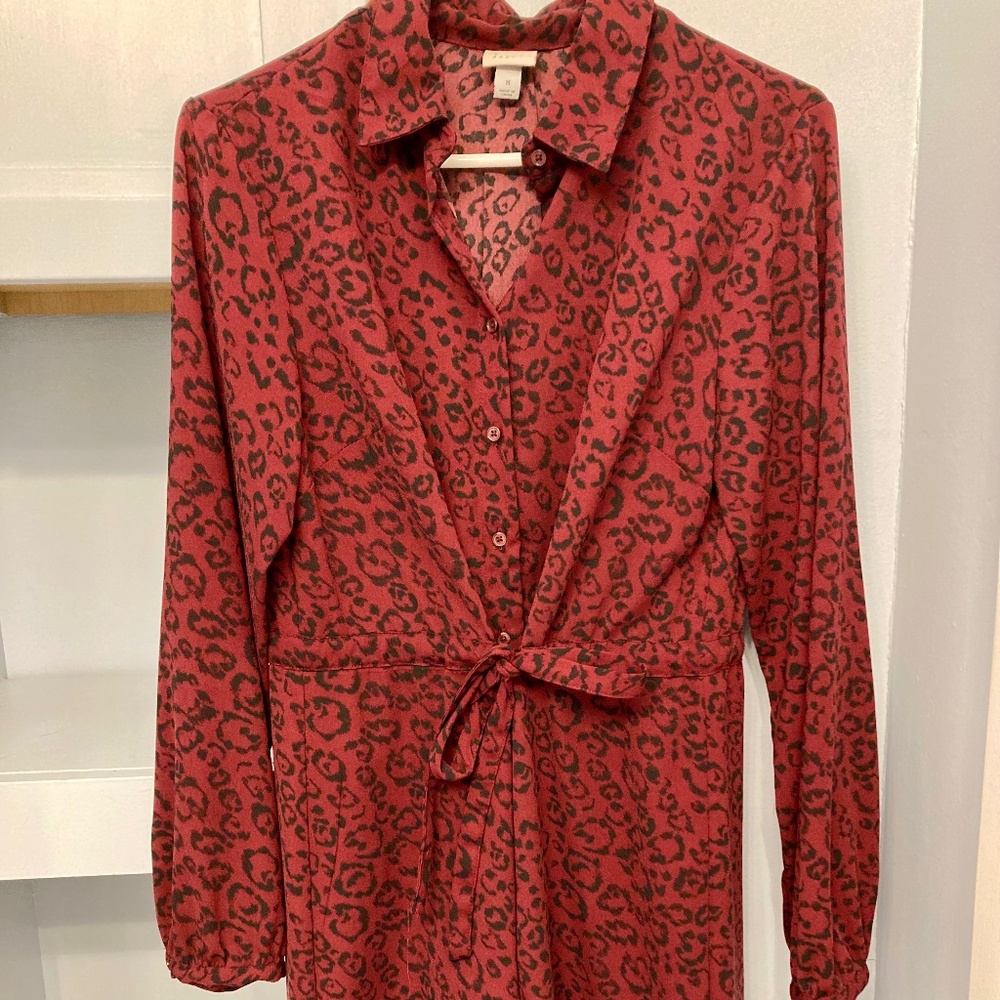 Classy Shirt Dress